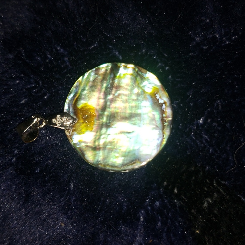 Dubble sided Abalone and 8k gold pendent